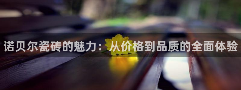 金年会品牌：诺贝尔瓷砖的魅力：从价格到品质的全面体验