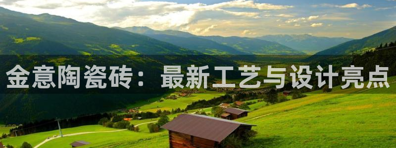 金年会体育app