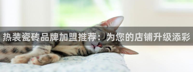 金年会菲律宾