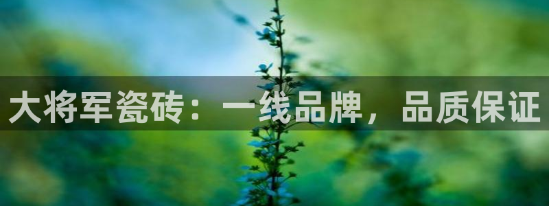 金年会com