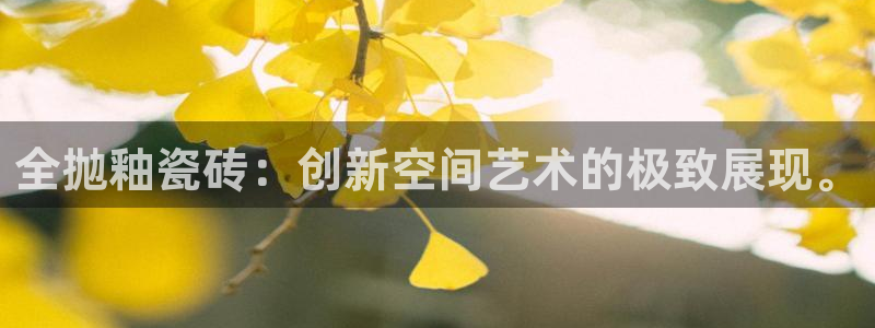 金年会吧