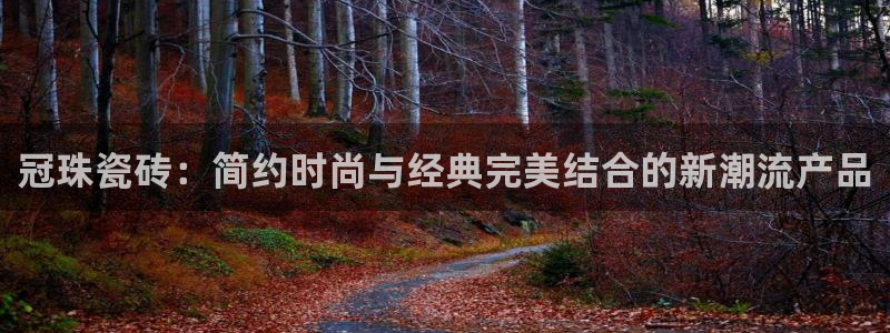 金年会电子游戏app