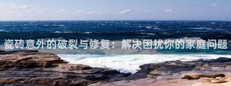 金年会今年会