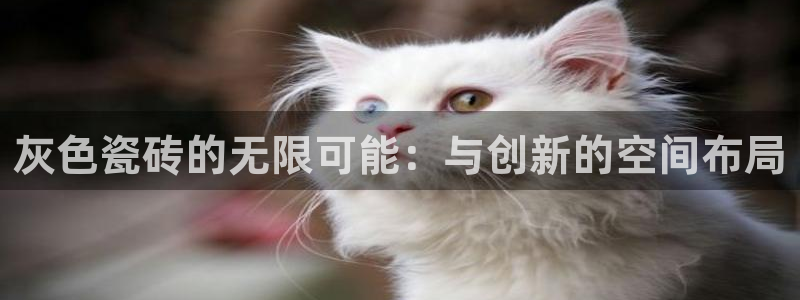 金年会是真的吗