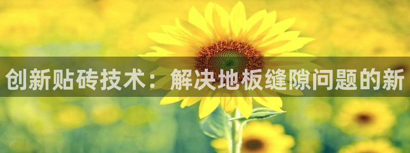 金年会官方网站下载