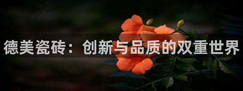 融通金年会