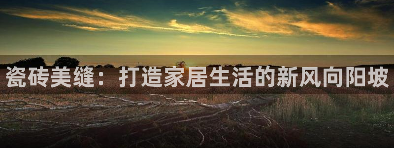 金年会下载