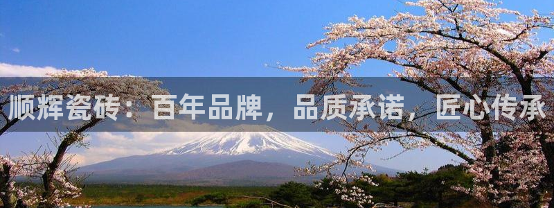 金年会金字招牌