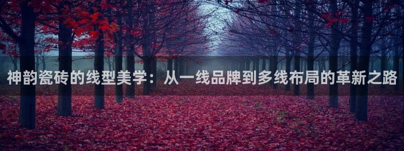 金年会取款