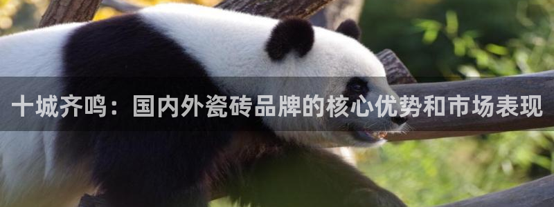 金升年会