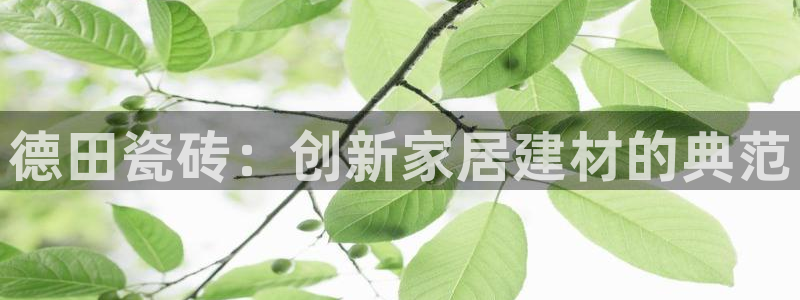 金年会全站app