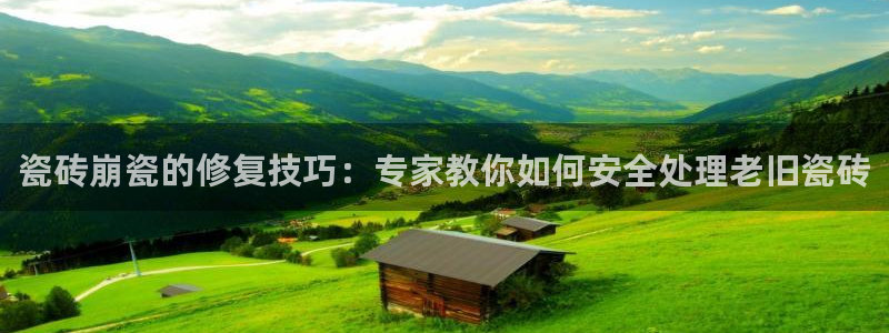 金年会官方入口