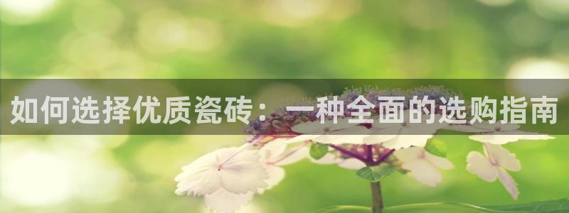 今金年会