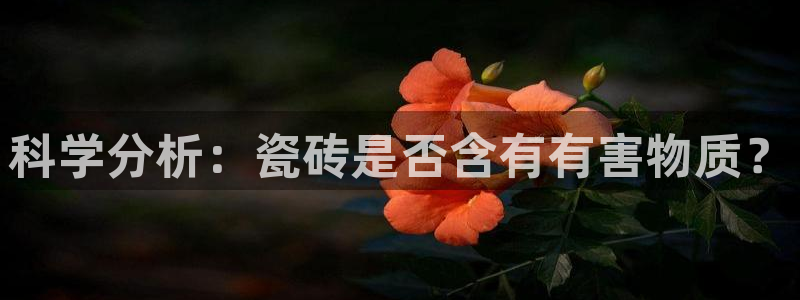 金年会安装