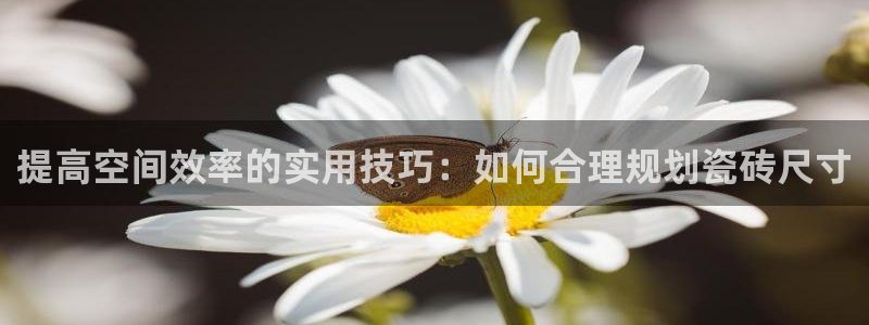 金年会体育官方网站