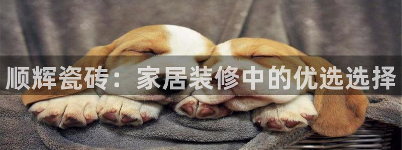 金年会软件之家下载
