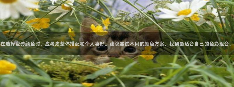 金年会平台登陆
