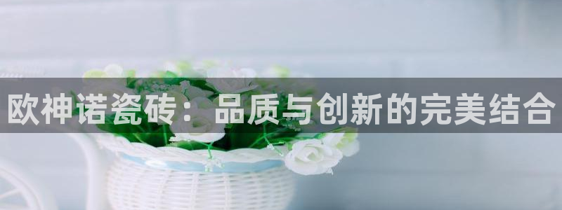 金年会18 28
