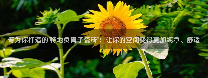 为什么搜索不了金年会