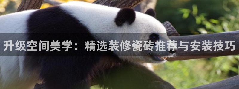 金金年会