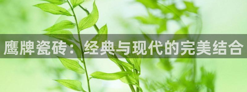 金年会最新官网