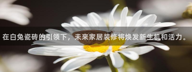 金年会菲律宾