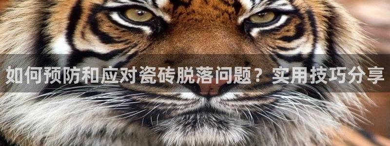 金联金年会