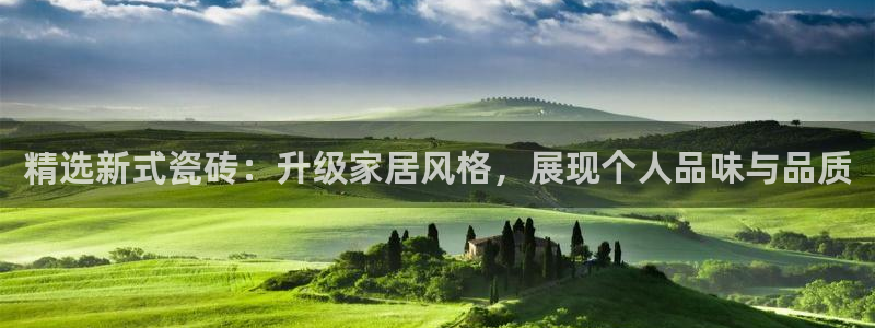 金诚集团年会