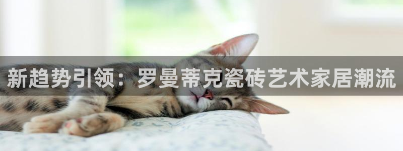 金年会官方网站下载