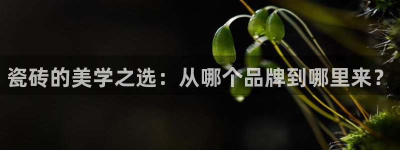 金年会官方网