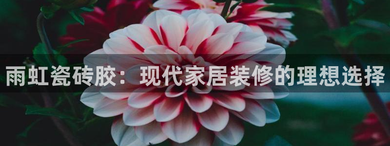 澳门娱乐金年会