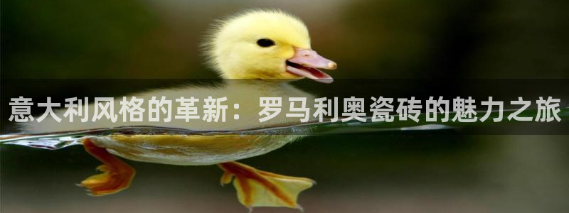 类似金年会
