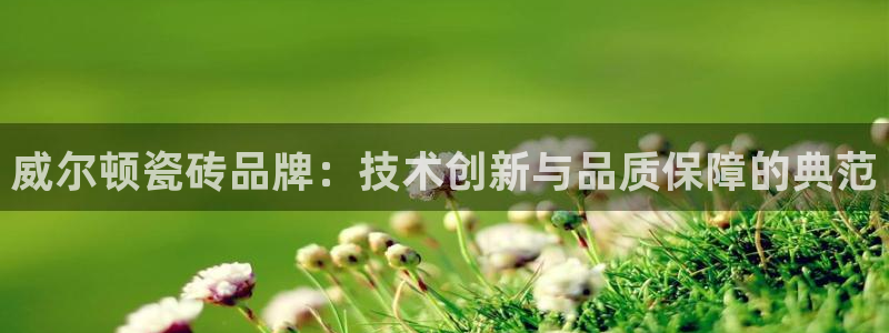 金年会国际