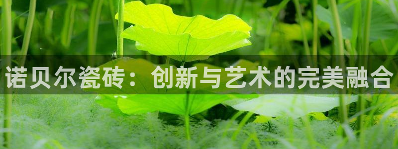 金年会体育金年会官网