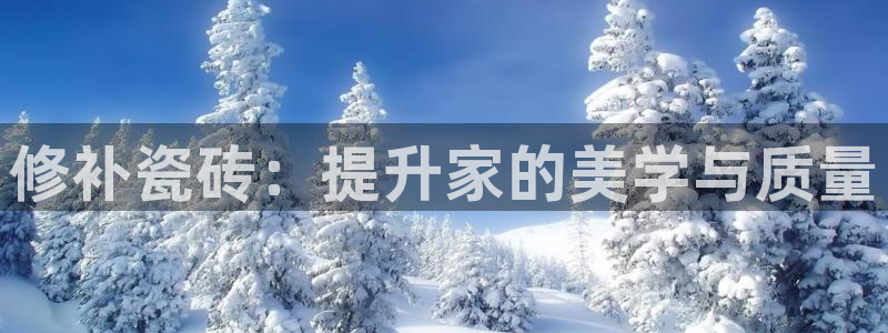 金帆年会2017