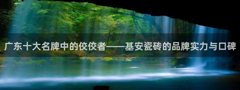 金顶年会