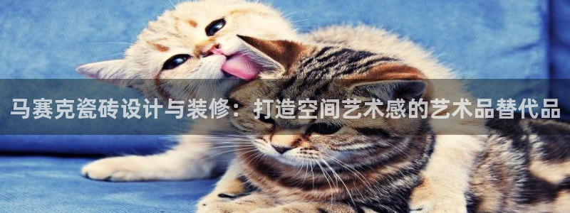 今年会送彩金28