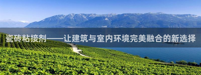 金年会最新登录