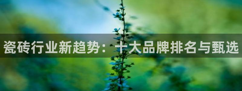 金年会平台包赔