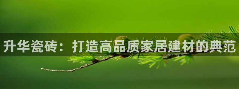 金年会官网app
