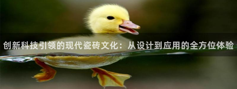 金齿科年会