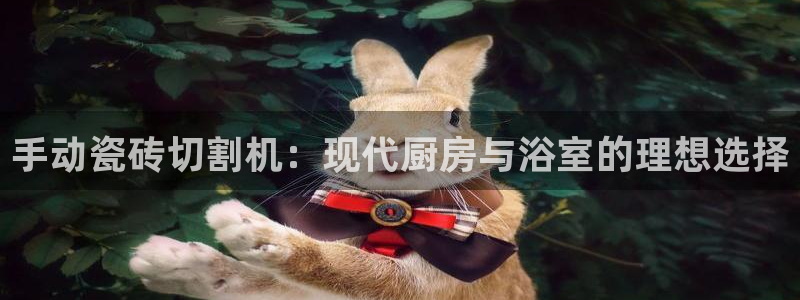 金靖年会