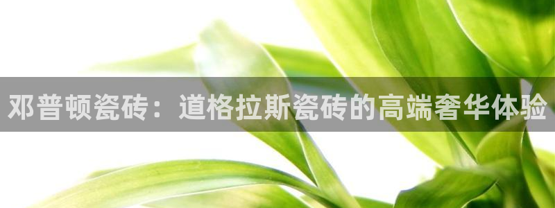金年会嗨聊app下载