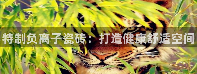 金年会是啥