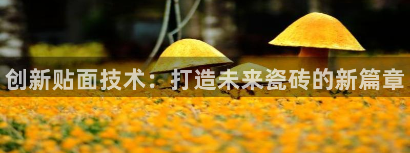 金年会官网入口