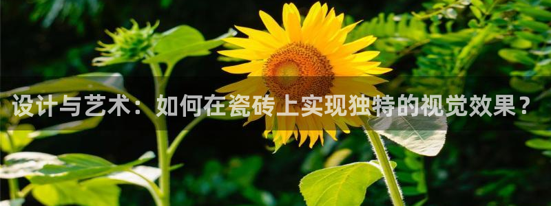 金年会体育平台入口