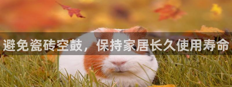 金年会彩票下载app