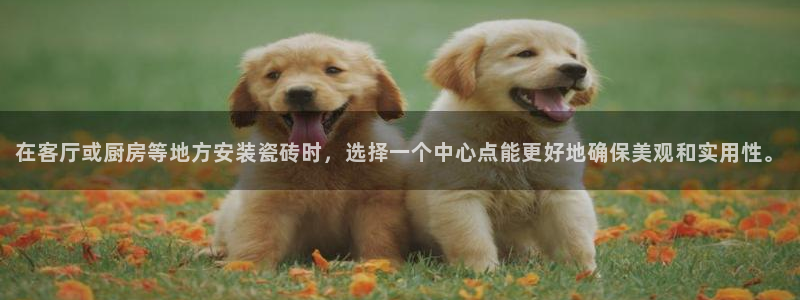 澳门金年会棋牌