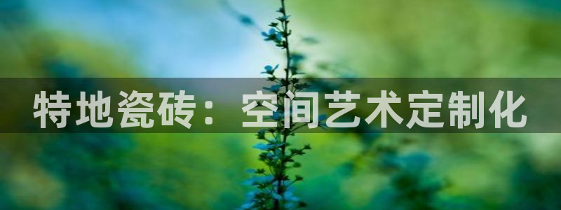 金年会官方客服