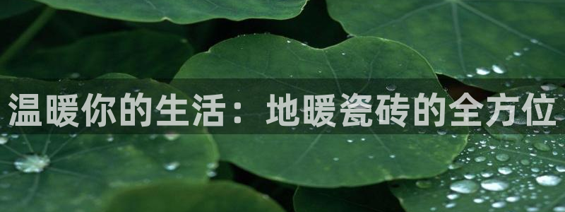 金年会平台游戏